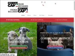 Sites similar to corsecane.com