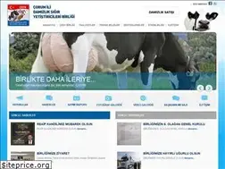 Sites similar to corumbirlik.org
