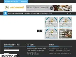 Sites similar to corumcolyak.com