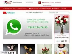 Sites similar to corumnazarcicek.com