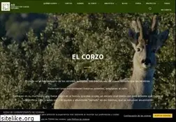 Sites similar to corzo.info