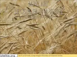 Sites similar to cosediunavolta.it