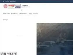 Sites similar to coskunegzoz.com