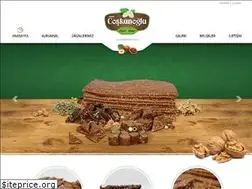 Sites similar to coskunoglupestil.com