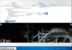 Sites similar to coskunoz.com.tr