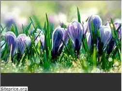 Sites similar to cosmo-magia.ru