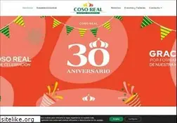 Sites similar to coso-real.com