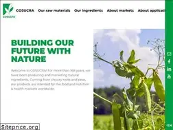 Sites similar to cosucra.com