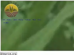 Sites similar to cosustenta.com