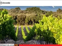 Sites similar to cotesdurhone.com