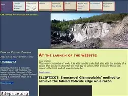 Sites similar to coticule.be