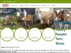 Sites similar to countrybumpkinfarm.com