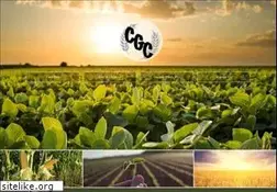 Sites similar to countrygraincooperative.com