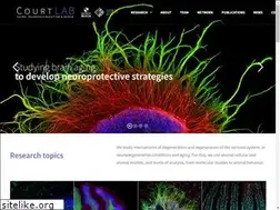 Sites similar to courtlab.cl