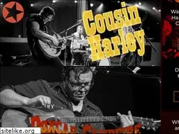 Sites similar to cousinharley.com