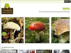 Sites similar to covaleda.es