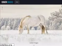 Sites similar to cover-images.com