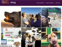 Sites similar to cowbellyblog.com