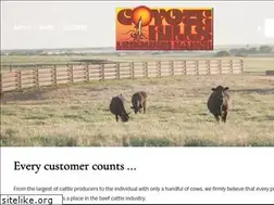 Sites similar to coyotehillslimousin.com