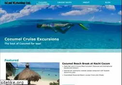 Sites similar to cozumelcruiseexcursions.com