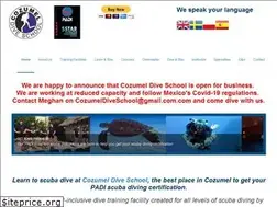 Sites similar to cozumeldiveschool.com