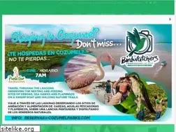 Sites similar to cozumelparks.com