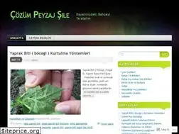 Sites similar to cozumpeyzaj.wordpress.com
