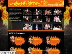 Sites similar to cozy-official.net