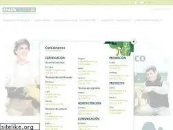 Sites similar to cpaen.org