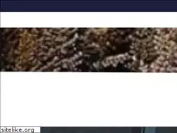Sites similar to cpasandadvisors.com