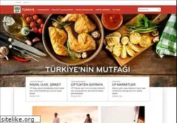 Sites similar to cpturkiye.com