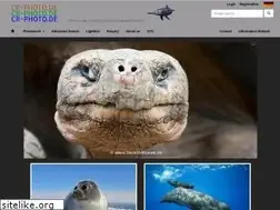 Sites similar to cr-photo.com