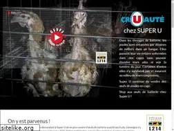 Sites similar to cr-u-aute.com