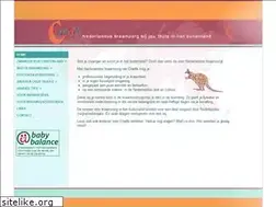 Sites similar to cradle.nl