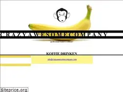Sites similar to crazyawesomecompany.com
