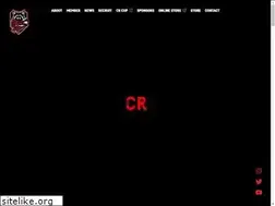 Sites similar to crazyraccoon.jp