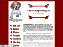 Sites similar to crbeagles.com