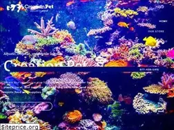 Sites similar to creationpet.com