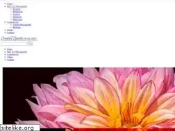 Sites similar to creativesparksimagery.com