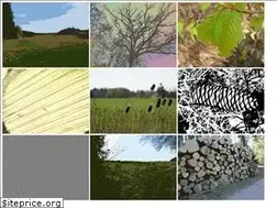 Sites similar to creativum-online.de
