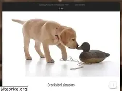 Sites similar to creeksidelab.com