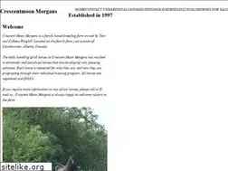 Sites similar to crescentmoonmorgans.com