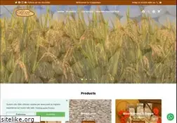 Sites similar to crespiriso.com