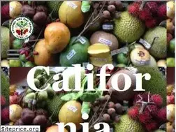 Sites similar to crfg.org