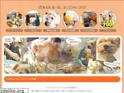 Sites similar to cri-momo.com