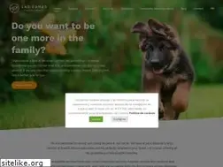 Sites similar to criadorcanino.com