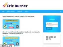 Sites similar to cricburner.com