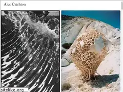 Sites similar to crichton.tv