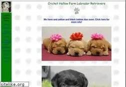 Sites similar to crickethollowfarm.com