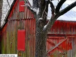 Sites similar to criderphotography.biz